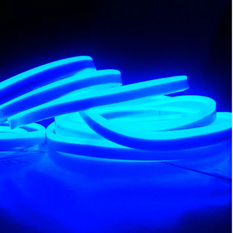 LED Neon Flex Blå 50 meter